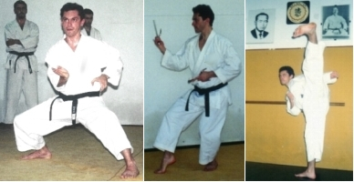 Técnicas Goju-Ryu